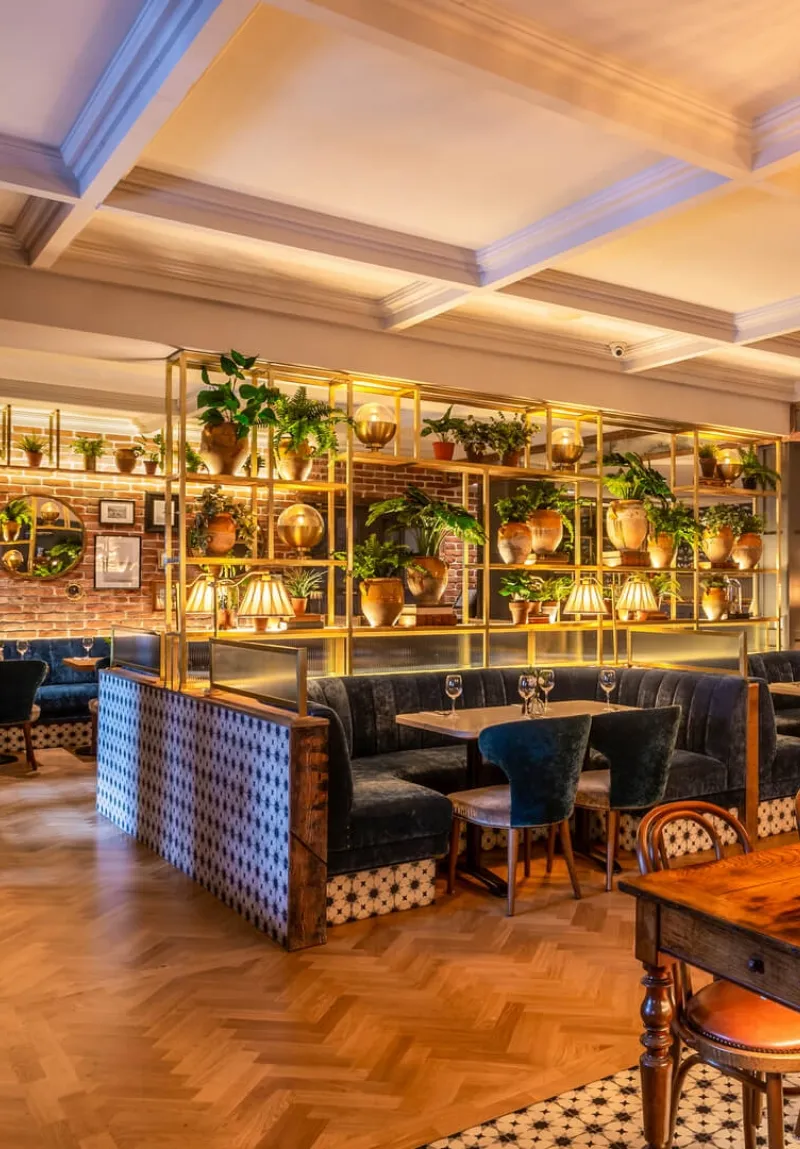 An elegant interior of a bar with plush seating, ornate wood tables, and a shelving unit filled with plants and lamps, accentuated by warm, ambient lighting.